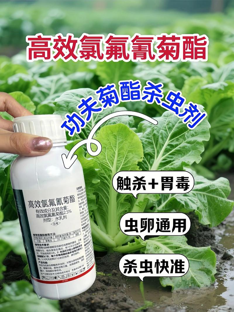 来宾代生中心:农药对供卵代生妈妈的危害